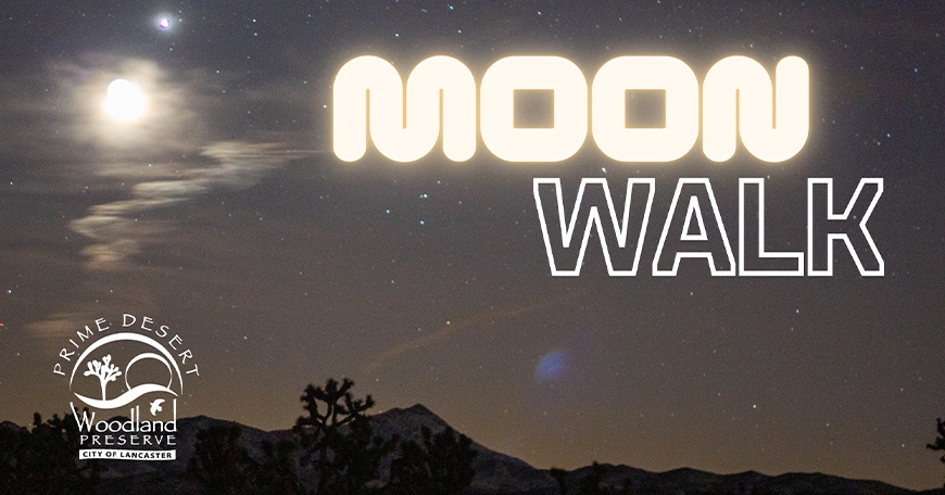 Moon Walk Moon Walk