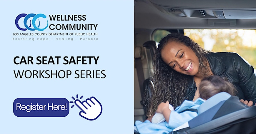 Car Seat Workshop Car Seat Workshop