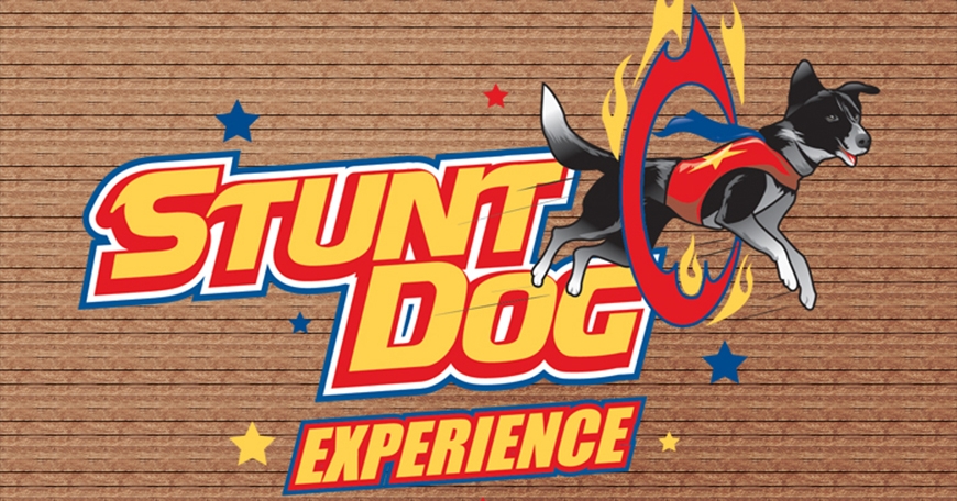Stunt Dog Experience