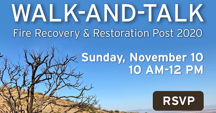 Fire Recovery Walk-and-Talk Fire Recovery Walk-and-Talk