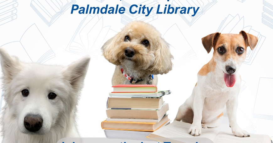 Books and Barks Books and Barks