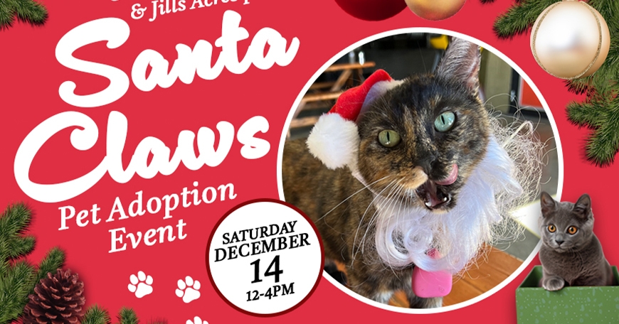 Santa Claws Pet Adoption Event