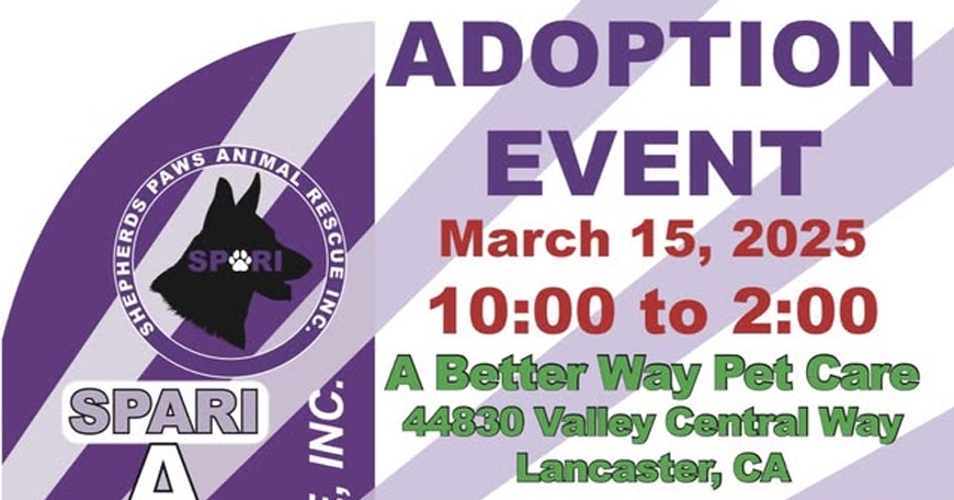 Dog Adoption Event Dog Adoption Event