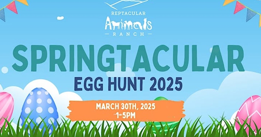 Springtacular Springtacular