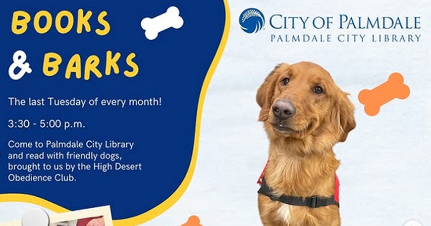 Books and Barks