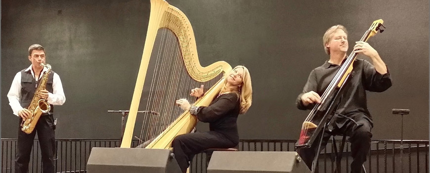Lori Andrews - Jazz Harpist at the LPAC