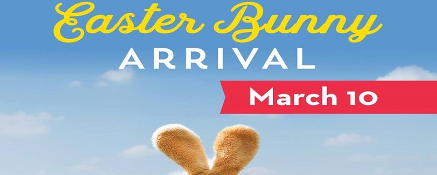 Easter Bunny Arrival at the AV Mall Easter Bunny Arrival at the AV Mall