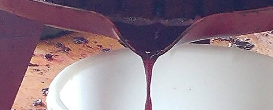 Wine Making for the Hobbyist Wine Making for the Hobbyist