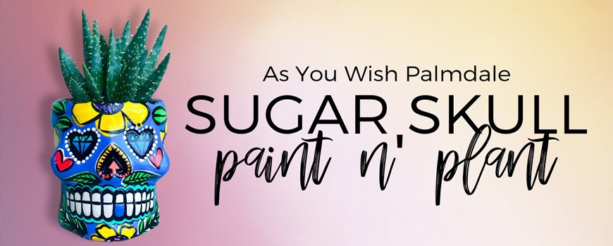 Sugar Skull Paint n' Plant at As You Wish Pottery Sugar Skull Paint n' Plant at As You Wish Pottery