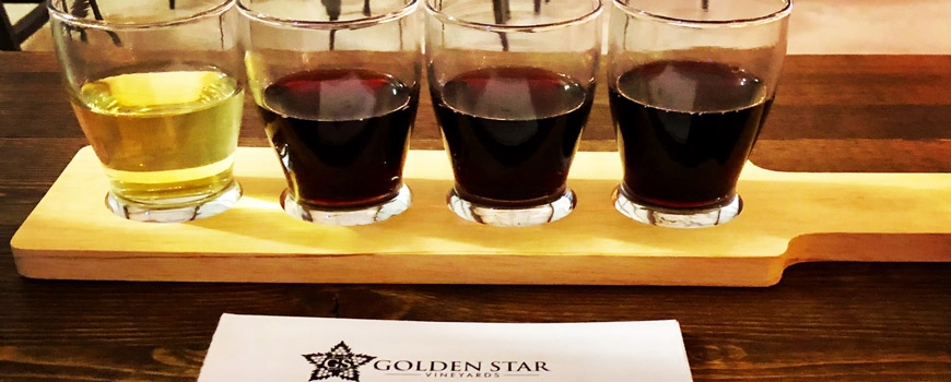 Wine Tasting at Golden Star Vineyards