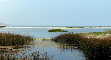 5. Malibu Lagoon State Beach Photo