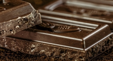 5 Fun Facts About Chocolate Photo