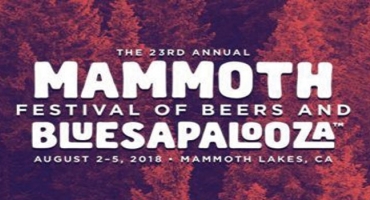 Our Local Breweries at Mammoth Bluesapalooza Photo