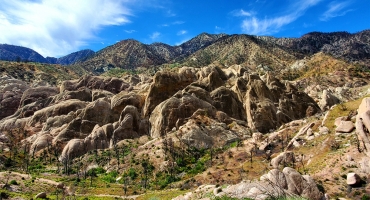 Desert Floor to Mountain Serenity: Devils... Photo
