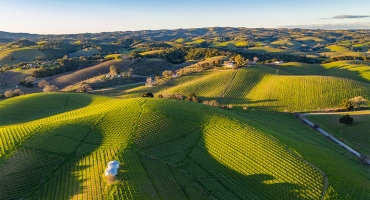 Rolling Vines, Golden Skies: A Wine Country Escape to Paso Robles