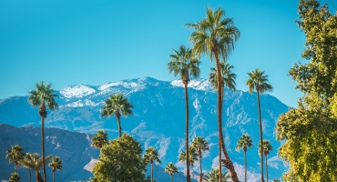 Desert Trails & Hidden Oases: A Palm Springs Escape