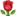 ðŸŒ¹
