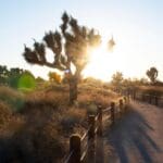 Movers & Shakers Senior Walking Club