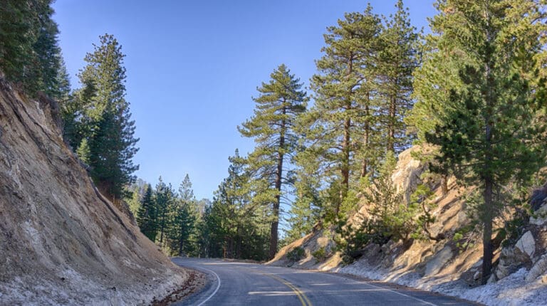 Angeles Crest Highway mountain road through pine trees near Wrightwood.