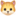 ðŸ±