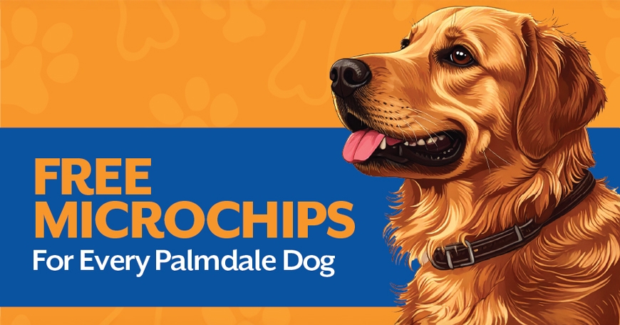 Free Drive-Thru Microchip Clinic