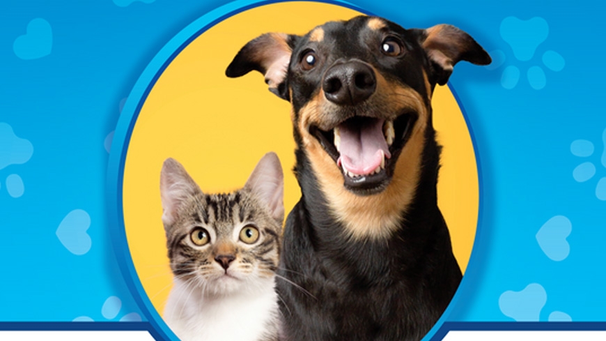 Trust AV Subaru - Pet Adoption Event