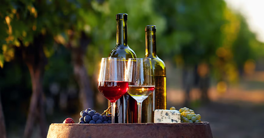 Behind-the-Scenes Wine Tour & Tasting Experience