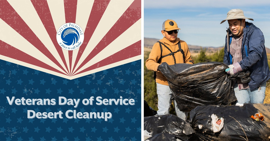 Veterans Day of Service Desert Cleanup