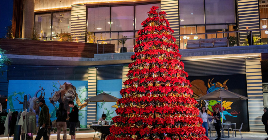 Merry & Bright Pop Up Night